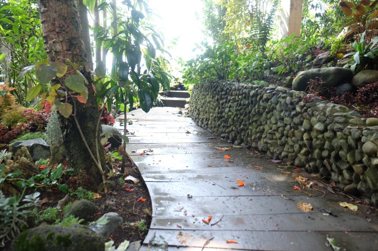 Lodge Casa Nativo *
