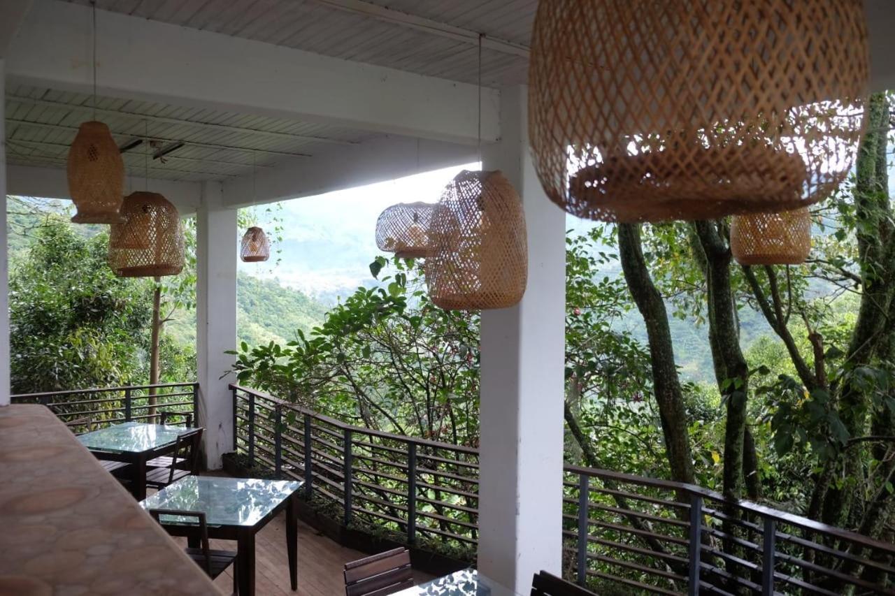 Casa Nativo *