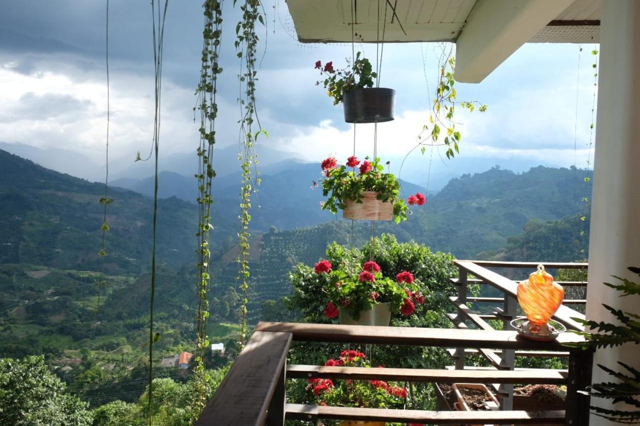 Casa Nativo * Jardin