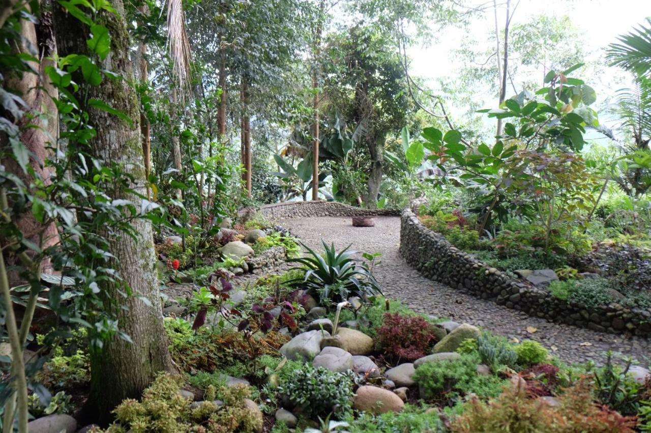 Casa Nativo Lodge *