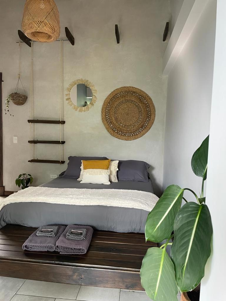 Casa Nativo * Jardin
